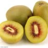 Kiwi - Actinidia Deliciosa Kiwi Wonder -Promos Feullisia Magasin Actinidia deliciosa Wonder 84702 1