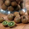 Kiwi Jenny (autofertile) - Actinidia Deliciosa -Promos Feullisia Magasin Kiwi Jenny autofertile 78130 1