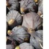 Figuier - Ficus Carica Grise De Tarascon -Promos Feullisia Magasin ficus carica grise de tarascon demi tige en pot de7 l0l 1005092 1